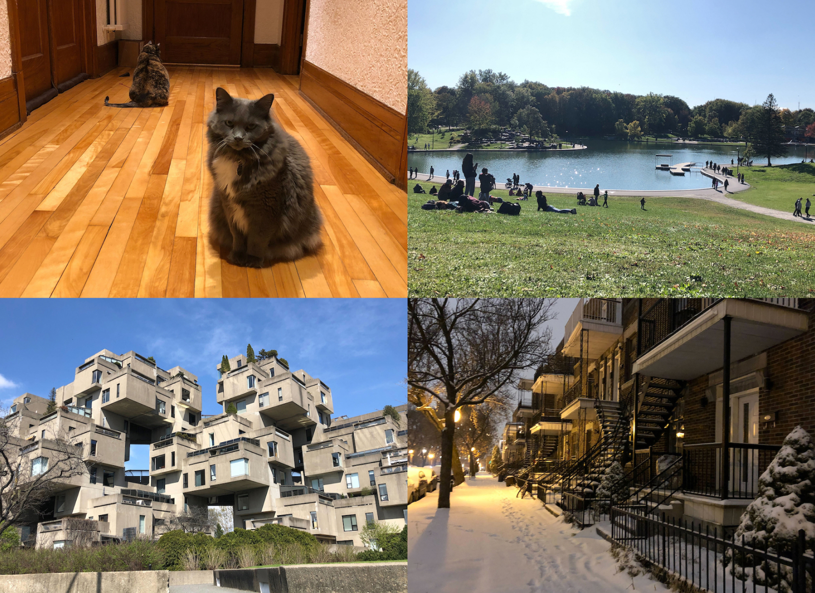 Photos taken from Satomi’s time in Montreal, Canada